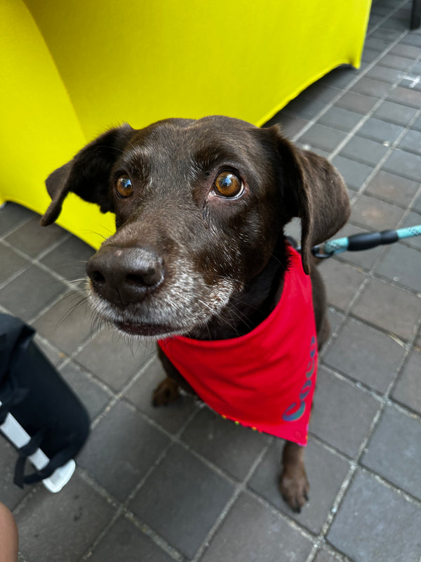 Coco